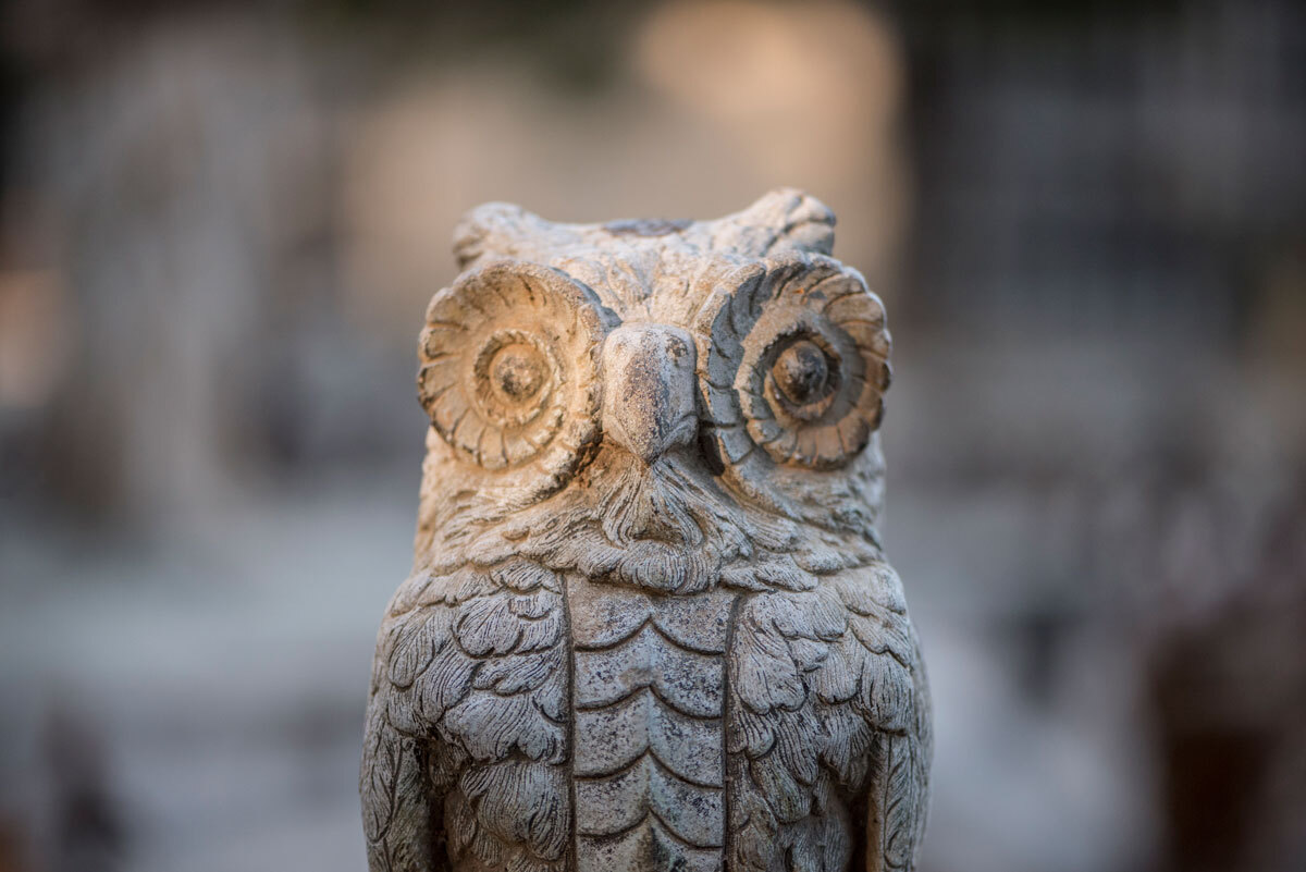 Sculpture of an owl in the cemetery