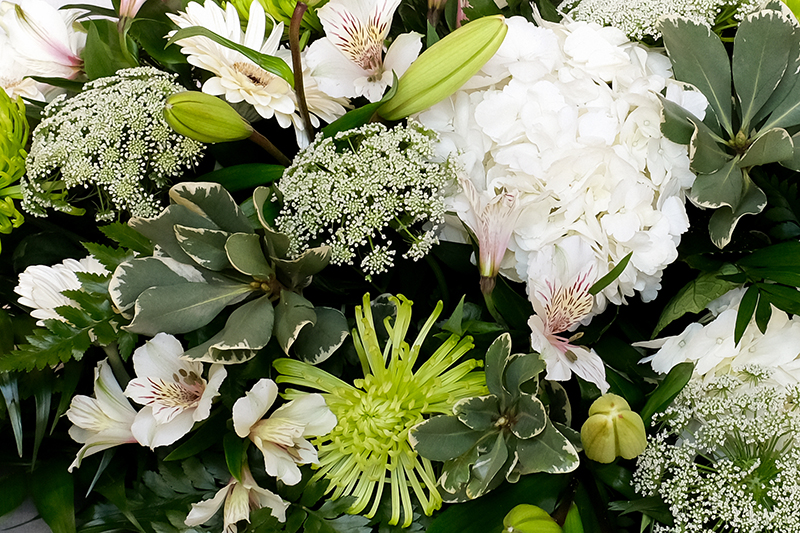 Vista d'aprop del centre