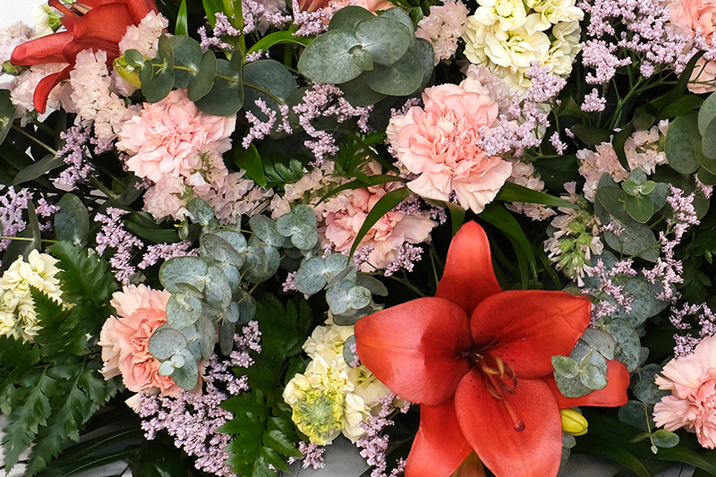 Vista d'aprop del centre