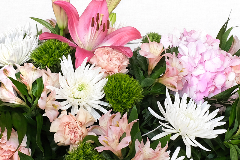 Vista d'aprop del centre