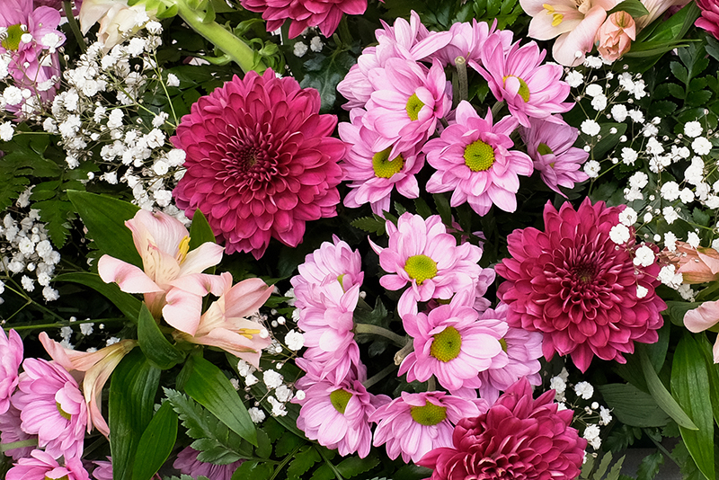 Detall del centre vist d'aprop