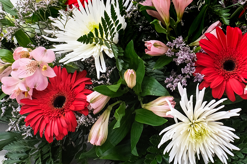 Vista d'aprop del centre