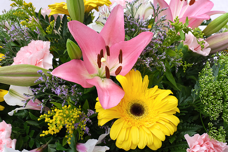 Vista del centre d'aprop