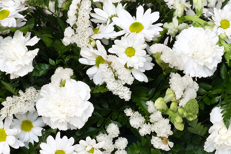 Vista del centre d'aprop