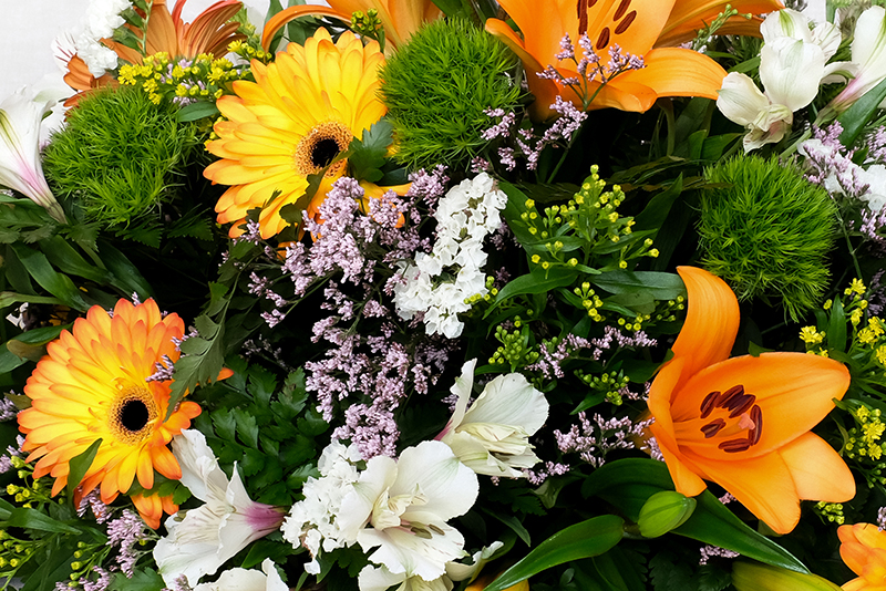 Vista d'aprop del centre