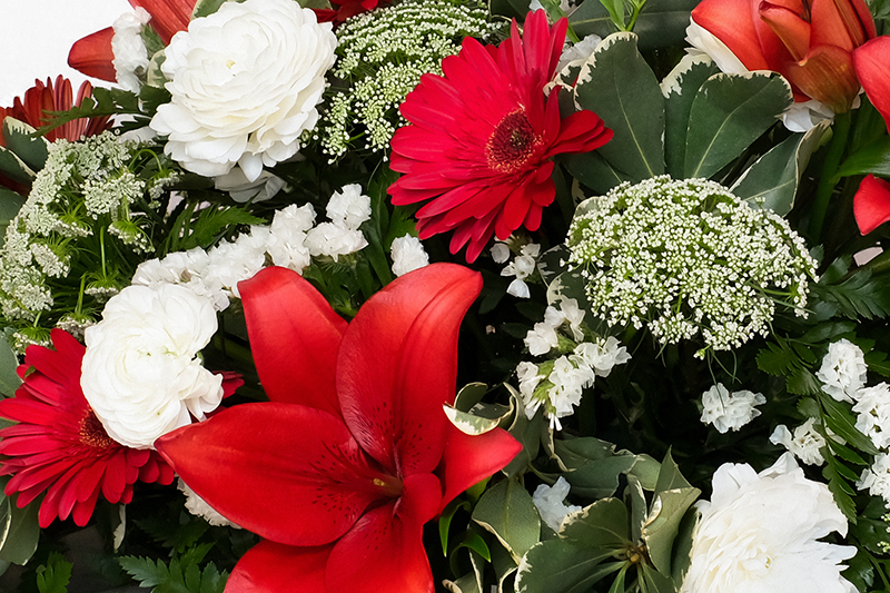 Vista del centre d'aprop