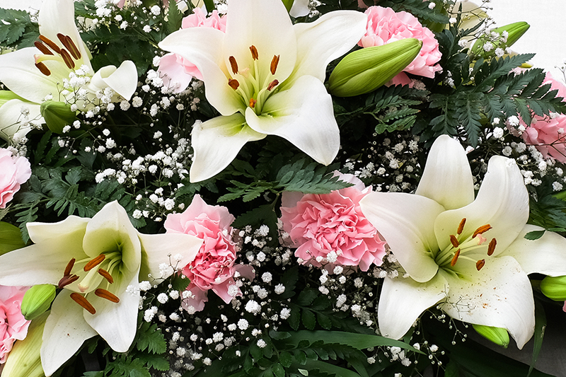 Vista d'aprop del centre