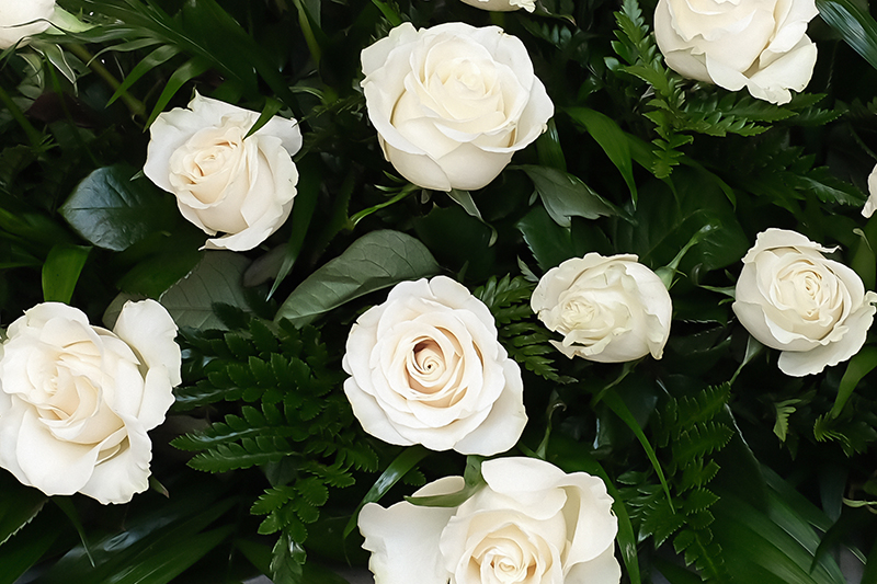 Vista del centre d'aprop