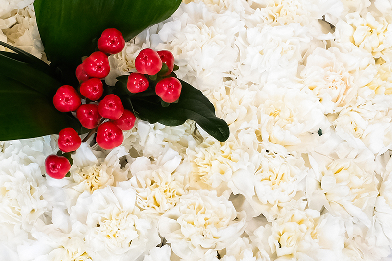 Cor vist d'aprop amb Hipericum vermell, Aspidistra i Mata