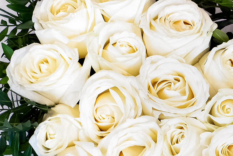 Vista d'aprop del cor