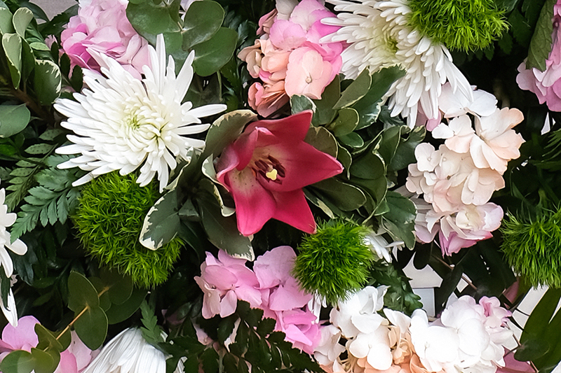 Vista d'aprop de la corona